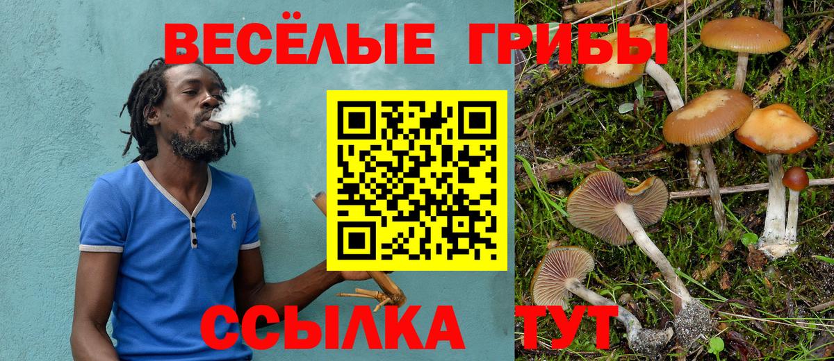 Ачинск  Галлюциногенные грибы прущие грибы  Псилоцибиновые грибы Magic Shrooms  Вход с VPN 